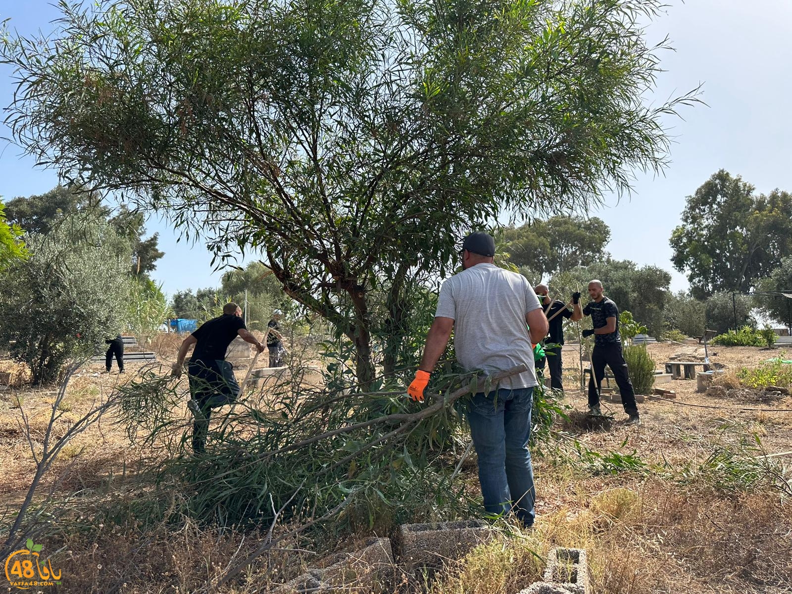 WhatsApp Image 2023-06-17 at 3.39.02 PM (1).jpeg